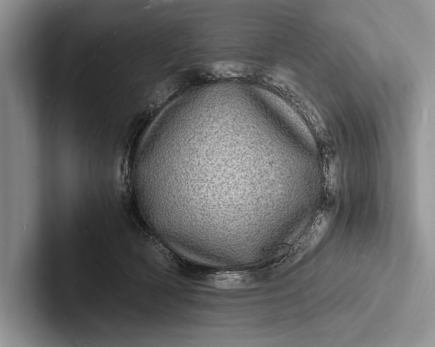X0000103250418200809111619