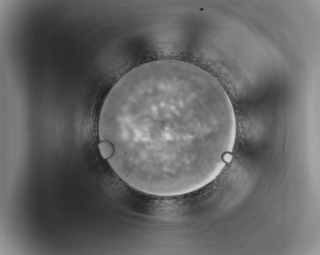 X0000103250419200809111619