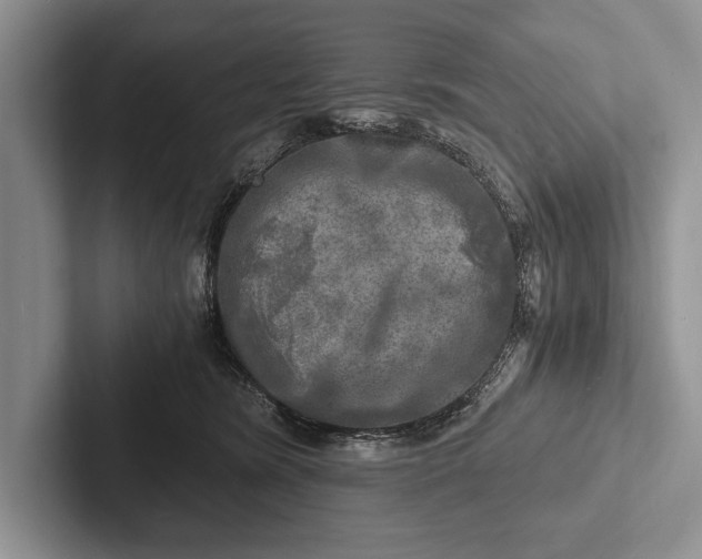 X0000103250420200809111619