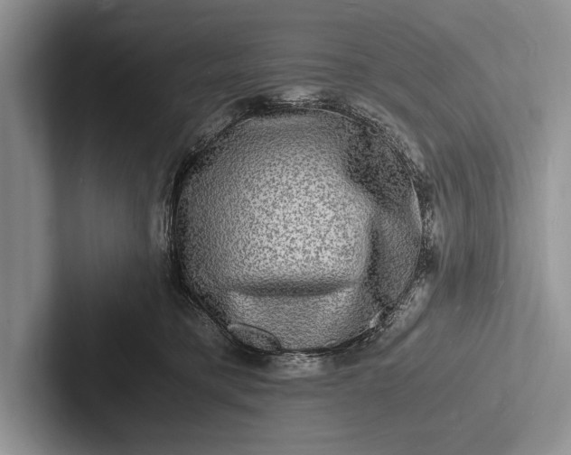 X0000103250421200809111619