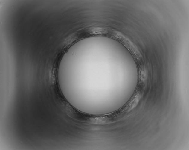 X0000103250422200809111619
