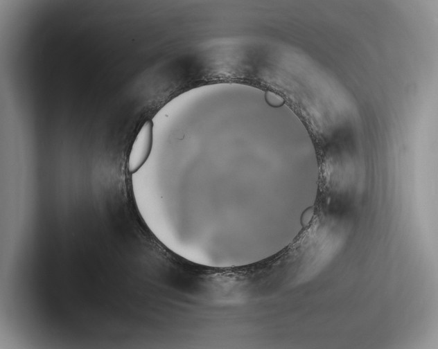 X0000103250423200809111619