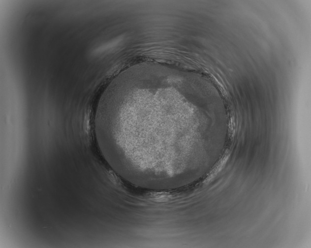 X0000103250424200809111619