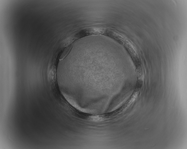 X0000103250425200809111619