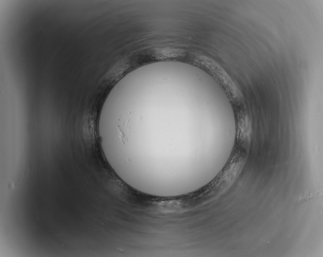 X0000103250426200809111619