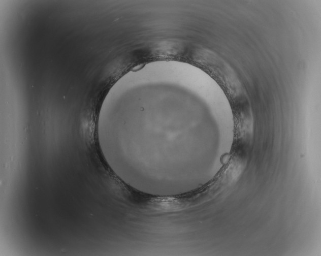 X0000103250427200809111619