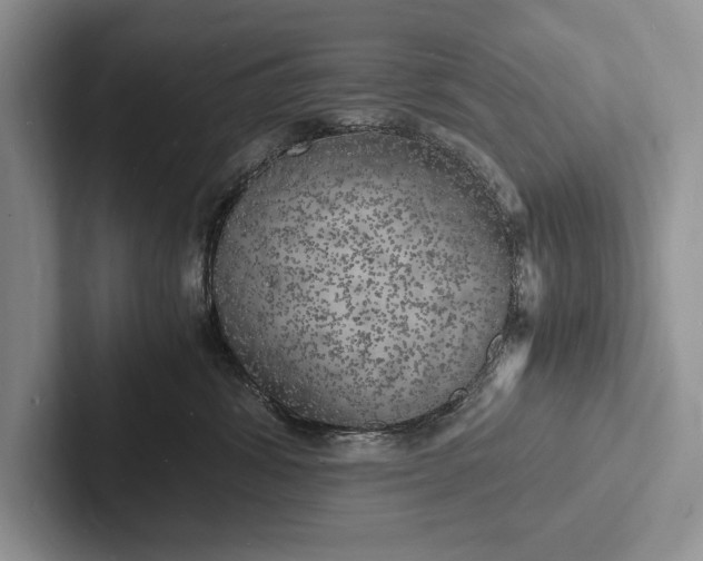 X0000103250428200809111619