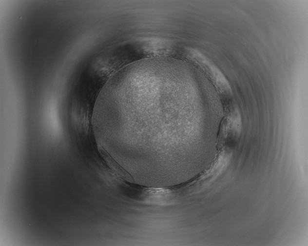 X0000103250429200809111619