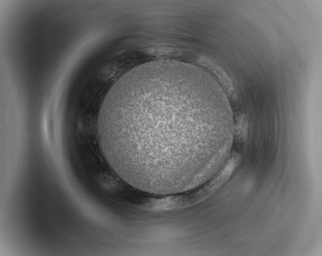 X0000103250430200809111619
