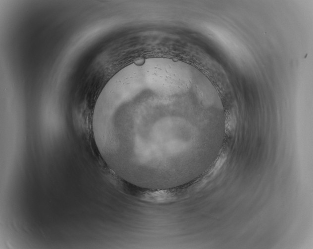 X0000103250431200809111619