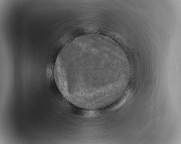 X0000103250432200809111619