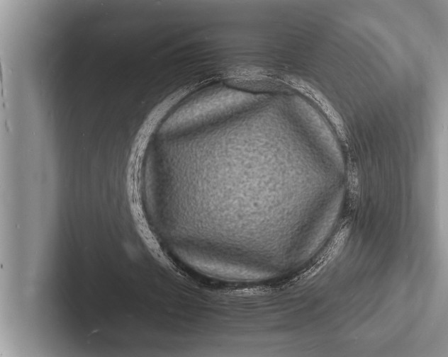 X0000103250433200809111618