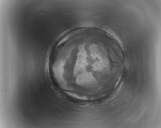 X0000103250434200809111618