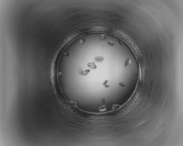 X0000103250435200809111618