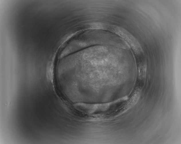 X0000103250436200809111618