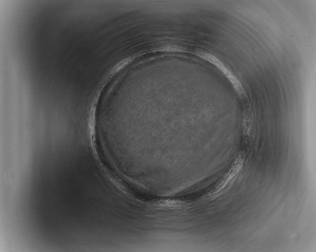 X0000103250437200809111618