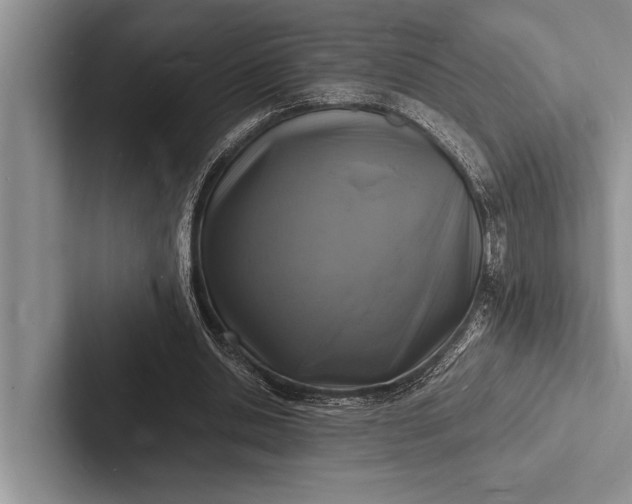 X0000103250438200809111618