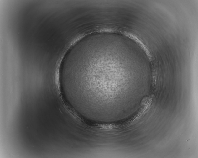 X0000103250439200809111618