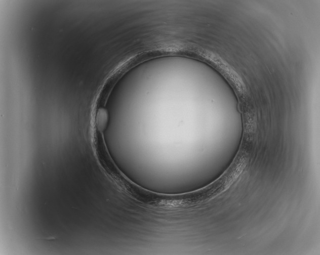 X0000103250440200809111618