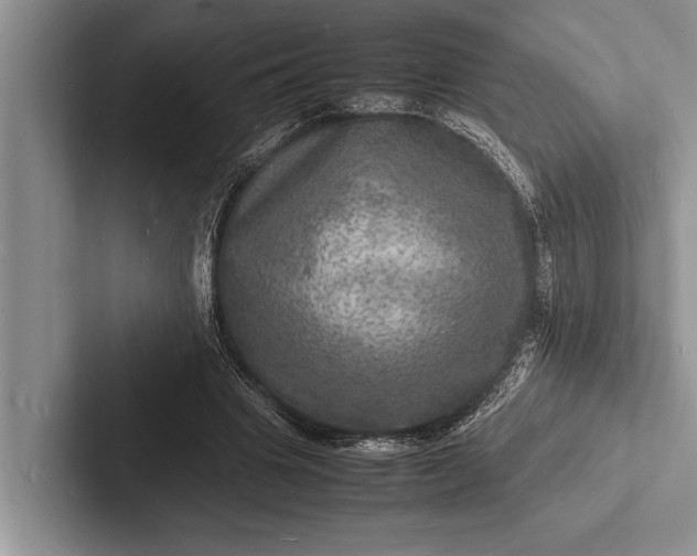 X0000103250441200809111618
