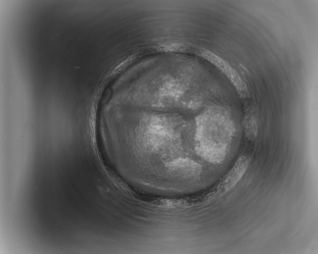 X0000103250442200809111618