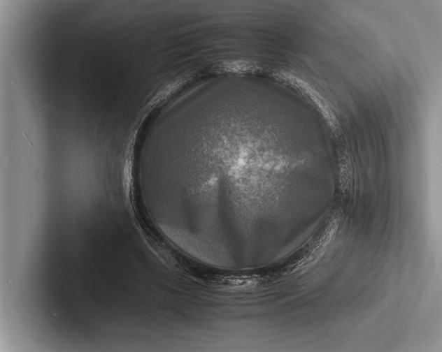 X0000103250443200809111618
