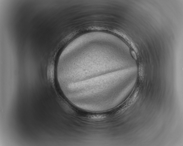 X0000103250445200809111618
