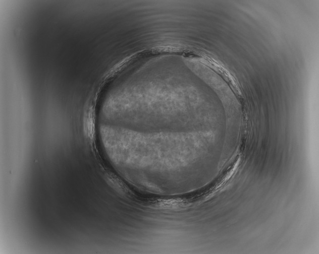 X0000103250446200809111618