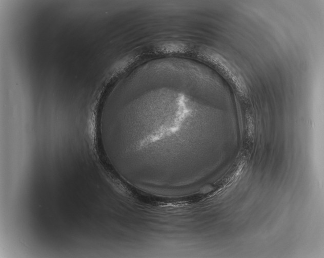 X0000103250447200809111618