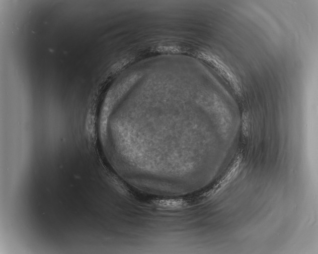 X0000103250449200809111618