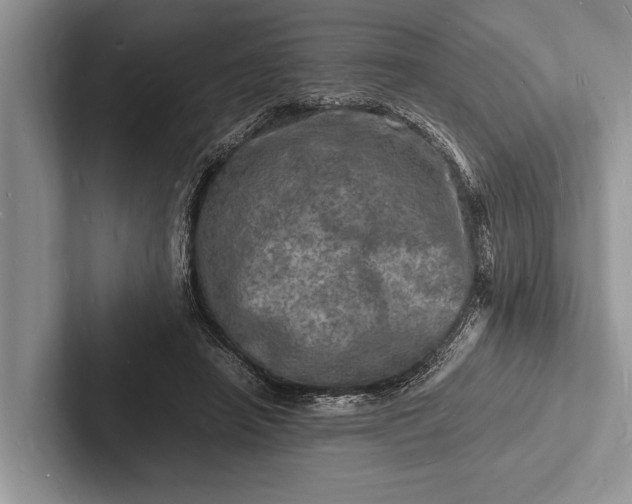 X0000103250450200809111618