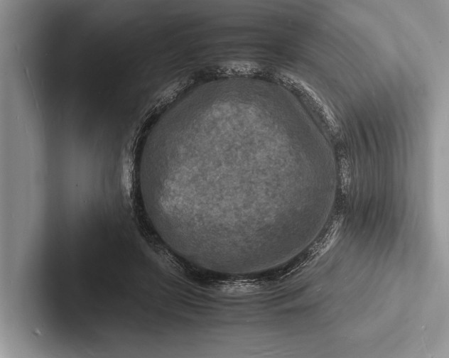 X0000103250451200809111618