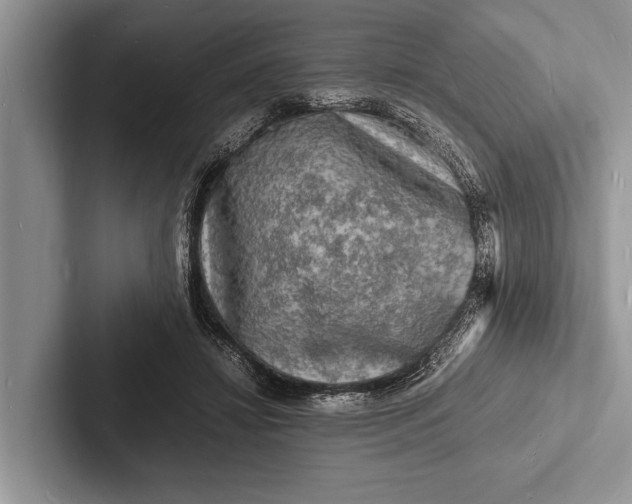X0000103250452200809111619