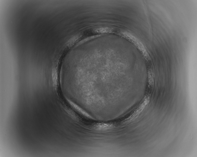 X0000103250453200809111619