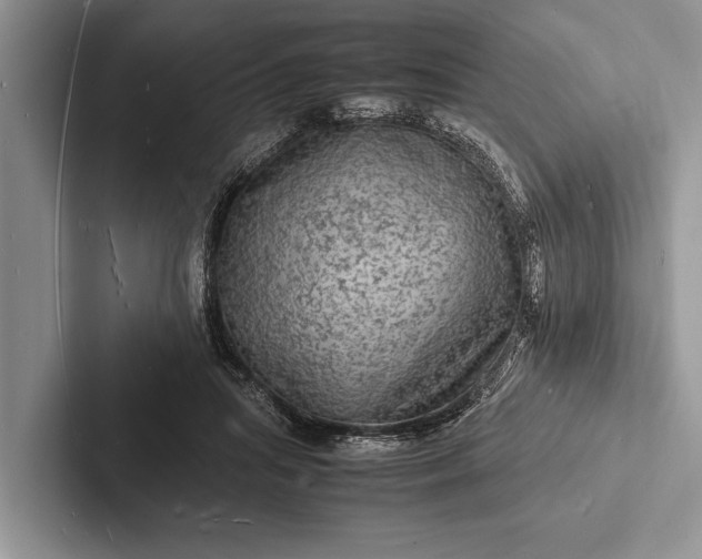 X0000103250455200809111619
