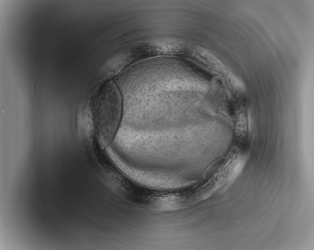 X0000103250456200809111619