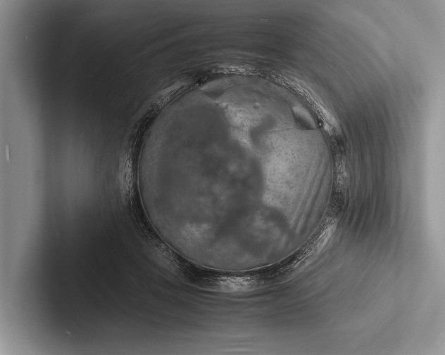 X0000103250457200809111619