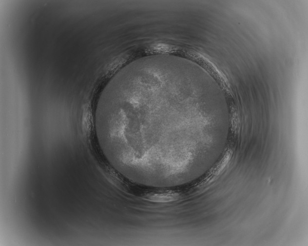 X0000103250459200809111619