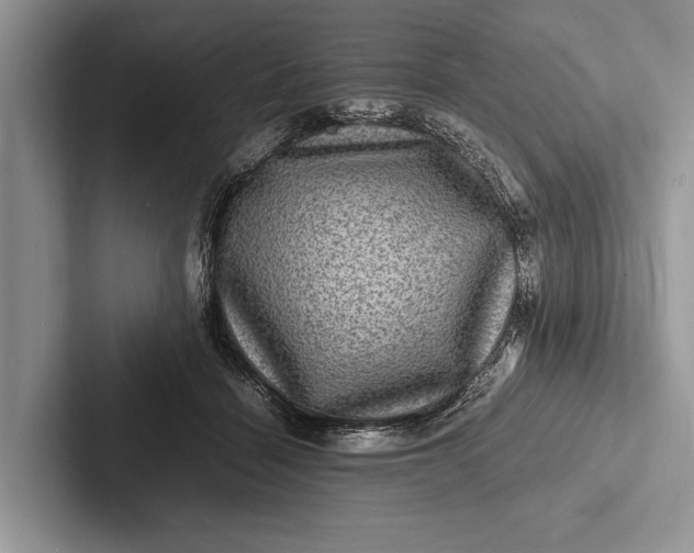X0000103250460200809111619