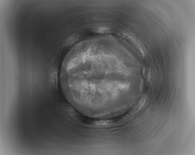 X0000103250461200809111619