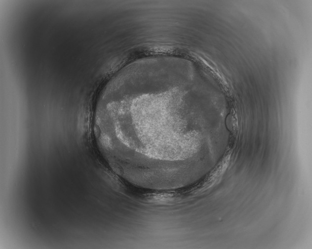 X0000103250462200809111619