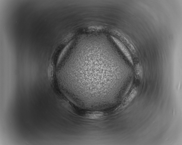 X0000103250463200809111619