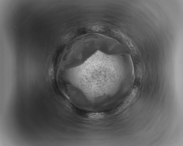 X0000103250465200809111619