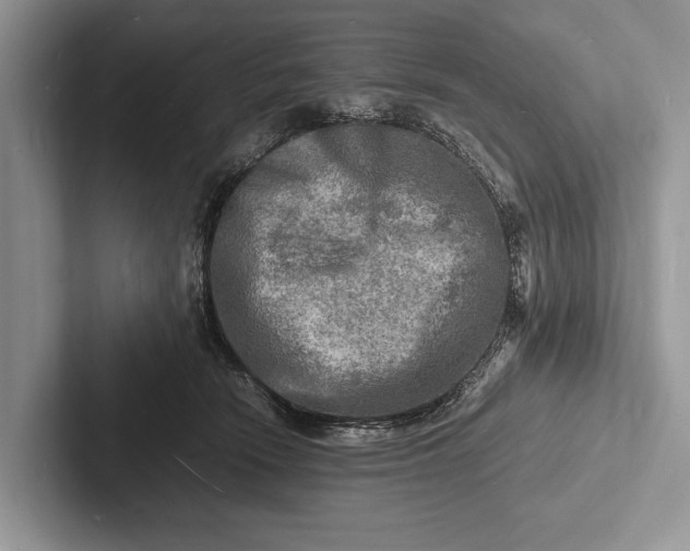 X0000103250466200809111619