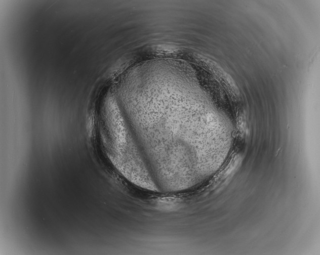 X0000103250468200809111619