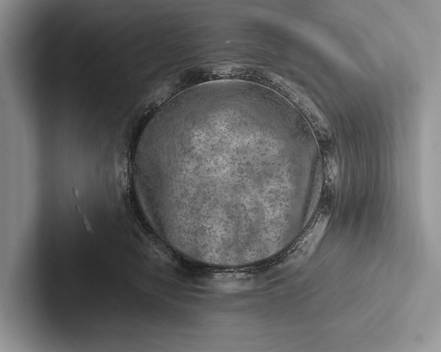 X0000103250470200809111619