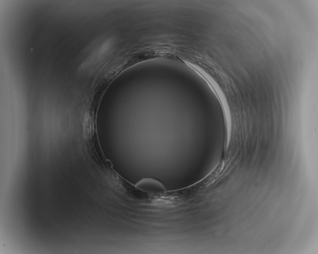 X0000103250471200809111619