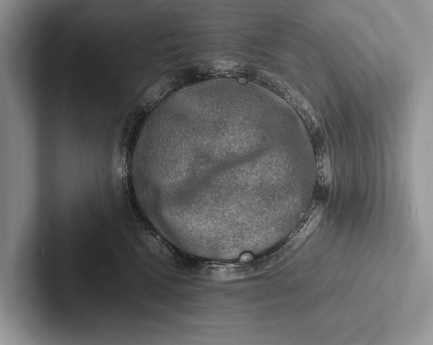 X0000103250472200809111619