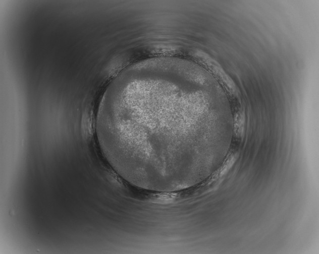 X0000103250474200809111619