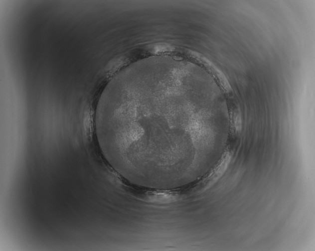 X0000103250475200809111619